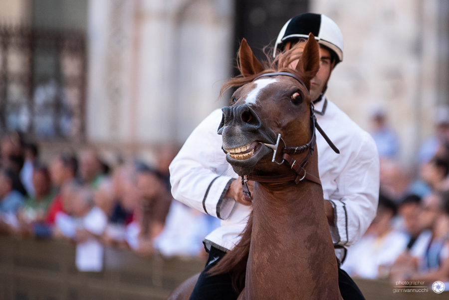 Prove del Palio 29 giugno 2018